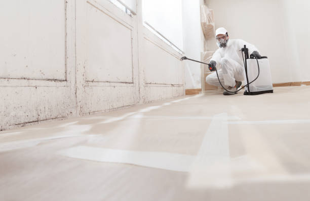 24/7 Emergency Mold Testing experts in Lewisville, NC