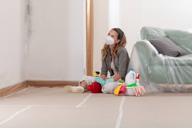 Reliable Mold Testing contractor in Lewisville, NC by WQB Mold Removal