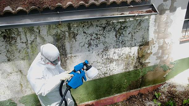Top rated local Mold Testing specialists in Lewisville, NC